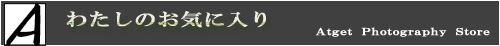 Atget Photography Store
