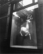 Berenice Abbott