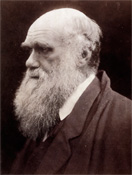 Julia Margaret Cameron