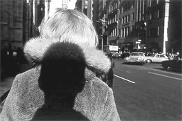 Lee Friedlander
