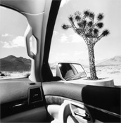 Lee Friedlander
