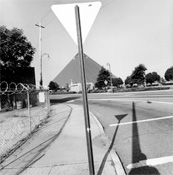 Lee Friedlander